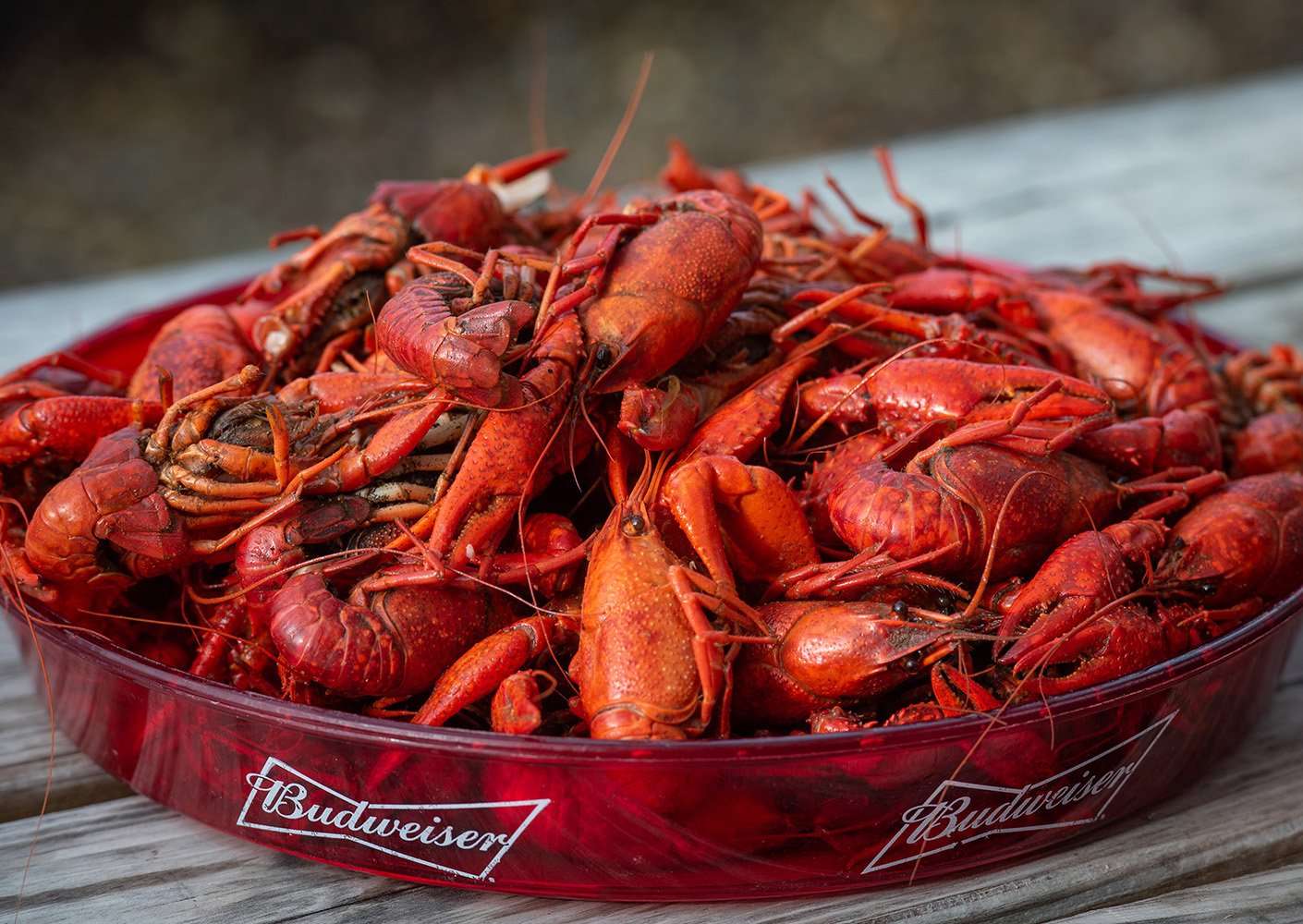 Why LoCo Cookers are Needed at Your Next Crawfish Boil - LoCo Cookers